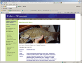 Fishes of Wisconsin